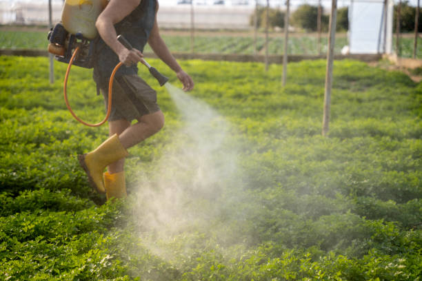 Best Affordable Exterminators  in Conway, SC
