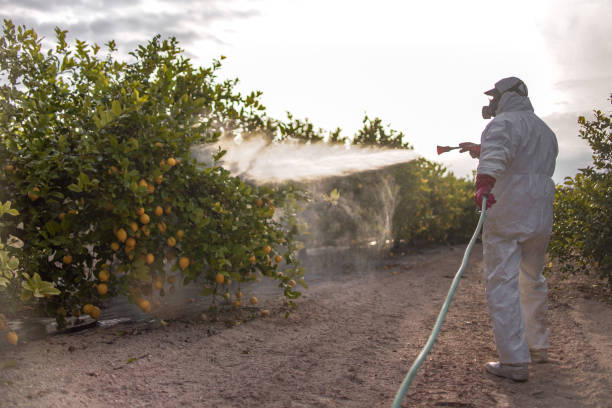 Best Pest Control Near Me  in Conway, SC